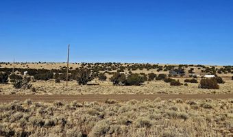 Lot 133 Circle Drive, Concho, AZ 85924