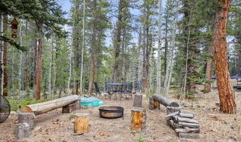 805 Lodge Pole Dr, Black Hawk, CO 80422