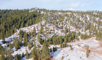 163 21 Ac Gray Ln, Cascade, ID 83611