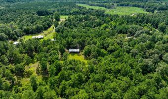 12 5+/- Acres Zell Ready Rd, Andalusia, AL 36421