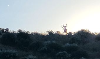 Tbd Rattlesnake Ln, Unity, OR 97884
