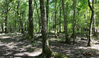 Highway 112, Abbeville, GA 31001