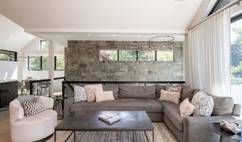 1154 E Cooper Ave B, Aspen, CO 81611