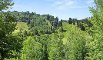 918 S Mill St A, Aspen, CO 81611