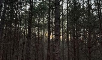 0- Lot 7 Piney Mountain Rd, Appomattox, VA 24522
