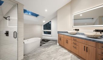 75 Bennett Ct, Aspen, CO 81611