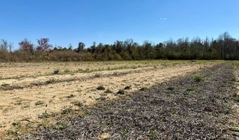 2 5 Acres GarrettRoad, Ashford, AL 36312