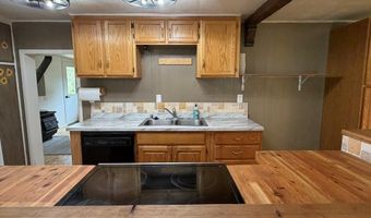 5480 Challis Creek Rd, Challis, ID 83226