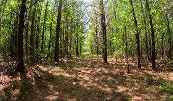 Christian Hts Road, Braxton, MS 39044