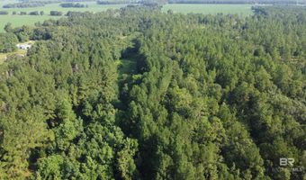 0 Lowery Rd Lot #11, Atmore, AL 36502