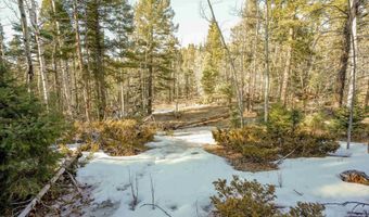 1004 And 1005 El Camino Real, Angel Fire, NM 87710
