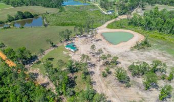 Chad Lake Rd, Alma, GA 31510