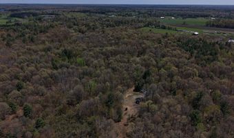 80 X Henry St, Alger, MI 48610