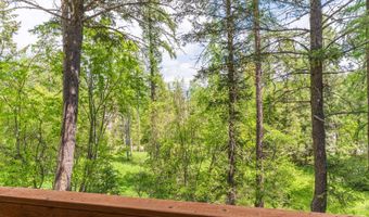 510 Swan Hill Rd, Bigfork, MT 59911