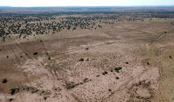 Tbd Wicked Sisters Way 38ac, Concho, AZ 85924