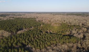 U.S. Highway 51, Bogue Chitto, MS 39629