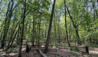 39 Acres N Pingree Rd, Alma, MI 48801