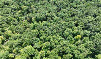 Denio Road, Barnet, VT 05821