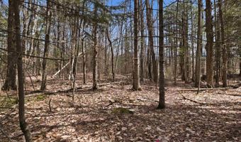 Puckerbrush Road, Campton, NH 03223