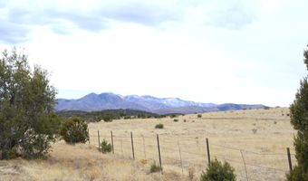404 408 W 3rd St, Capitan, NM 88316