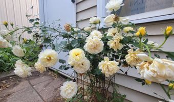 910 16th St, Auburn, NE 68305