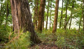 Cypress Pointe Drive lot 11, Brooksville, MS 39739