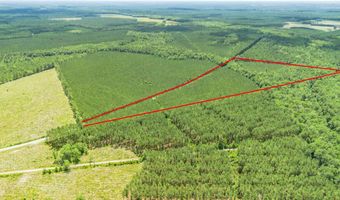 Ten Acre Rd, Andrews, SC 29510