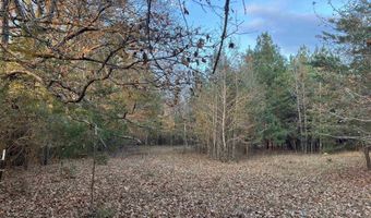11 Acres RISER MILL ROAD Lot 11 Acres, Alpine, AL 35014