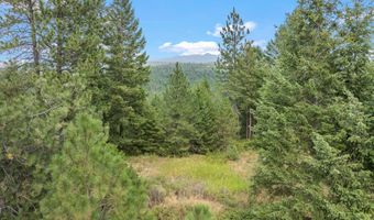 NKA E Forest View Rd, Athol, ID 83801