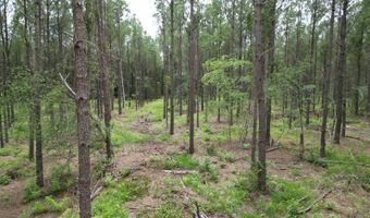 19 43 Big Rocks Rd, Antlers, OK 74523