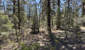 Horned Owl Way 385461, Bonanza, OR 97623