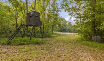 2233 Holloman Rd, Bentonia, MS 39040