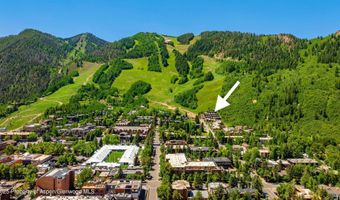 809 S Aspen St 8, Aspen, CO 81611