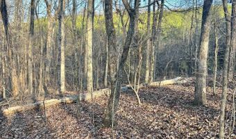 0009 SPRINGHOLLOW Rd Lot 9, Ashville, AL 35953