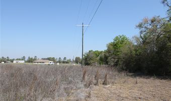 NW 50 Street, Bell, FL 32619