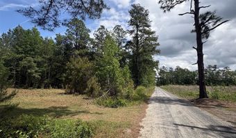 452 Tram Rd, Cades, SC 29518