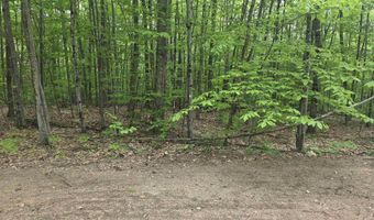 5 Panaway Dr 11-1-3, Campton, NH 03223