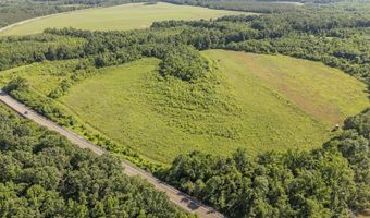 22 Hwy, Adamsville, TN 38310