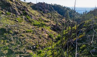 100 Canyon Gulch Rd, Bellvue, CO 80512