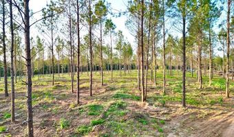 3 AL SR 223, Banks, AL 36005