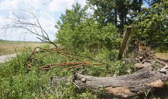 000 Stokes Rd, Bald Knob, AR 72010