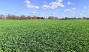 0002 CR-290, Asbury, MO 64832