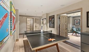 630 E Hyman Avenue Unit 203 & 206 203 & 206, Aspen, CO 81611