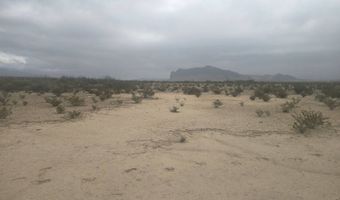 15957 S Bad Bunny Run, Alpine, TX 79830