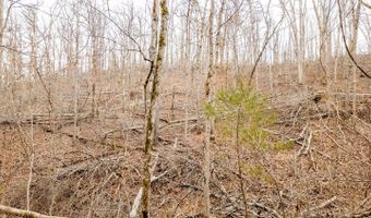 County Road 19-A, Alton, MO 65606