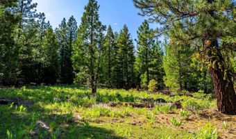 9454 Ridge Rd, Alturas, CA 96101