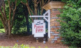 1711 Patterson Grove Rd, Apex, NC 27502