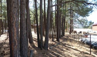 8 B County Road 2267 Escudilla Rd, Alpine, AZ 85920
