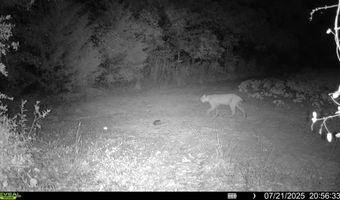 9891 Baskerville Rd, Baskerville, VA 23915