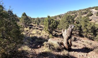 1037 S Canyon Dr, Cedar City, UT 84720